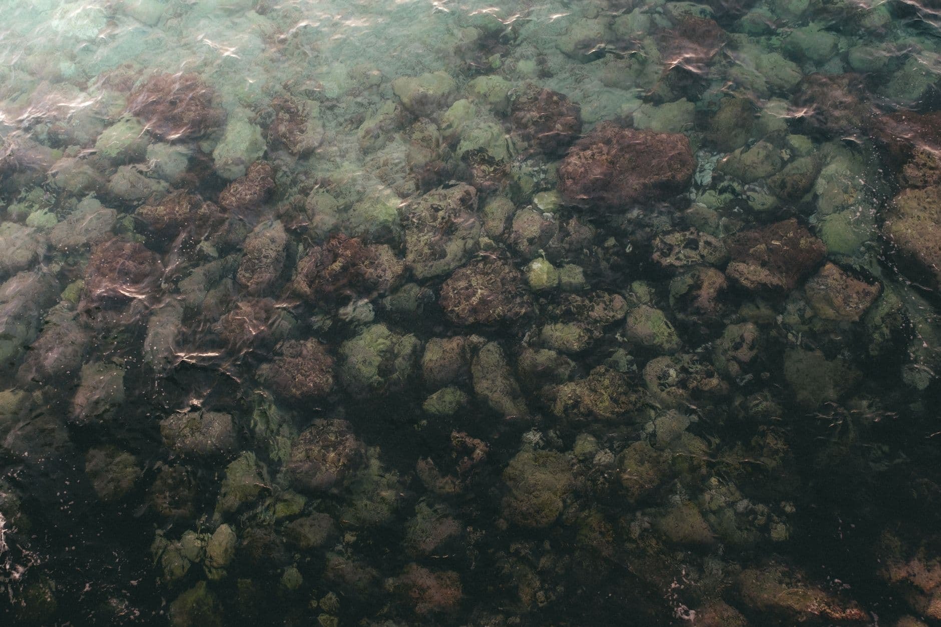 Serene view of clear sea waters revealing rocky shore in Marseille, France.
