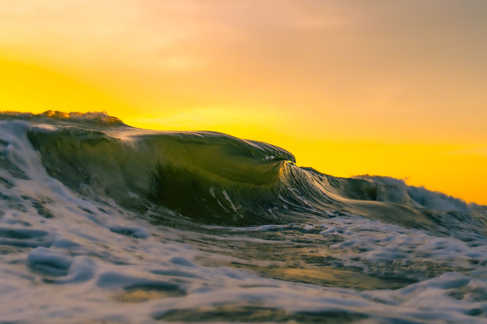 Dynamic ocean wave captured against a vibrant, golden sunset sky.