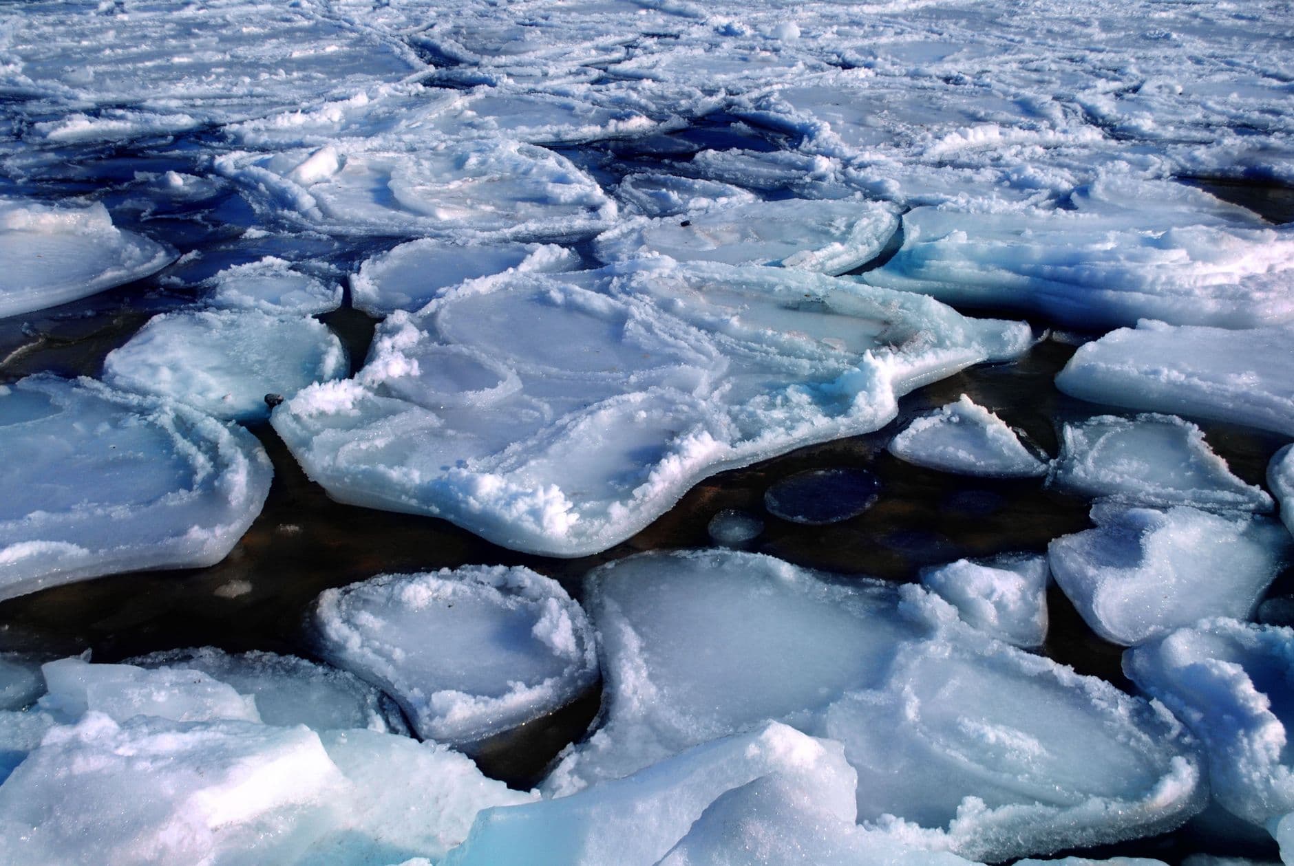 Close-up view of melting ice floes floating in the Arctic sea creating a serene abstract pattern.
