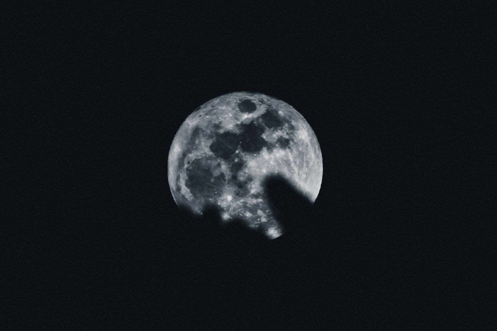 A detailed view of the full moon surrounded by silhouetted tree branches against a dark night sky.
